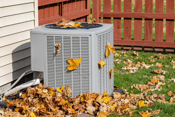 Best HVAC Troubleshooting  in Cayuga, IN